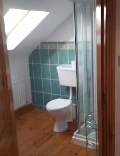 Three Sisters - 7km To Dingle 度假居 巴里菲尔特